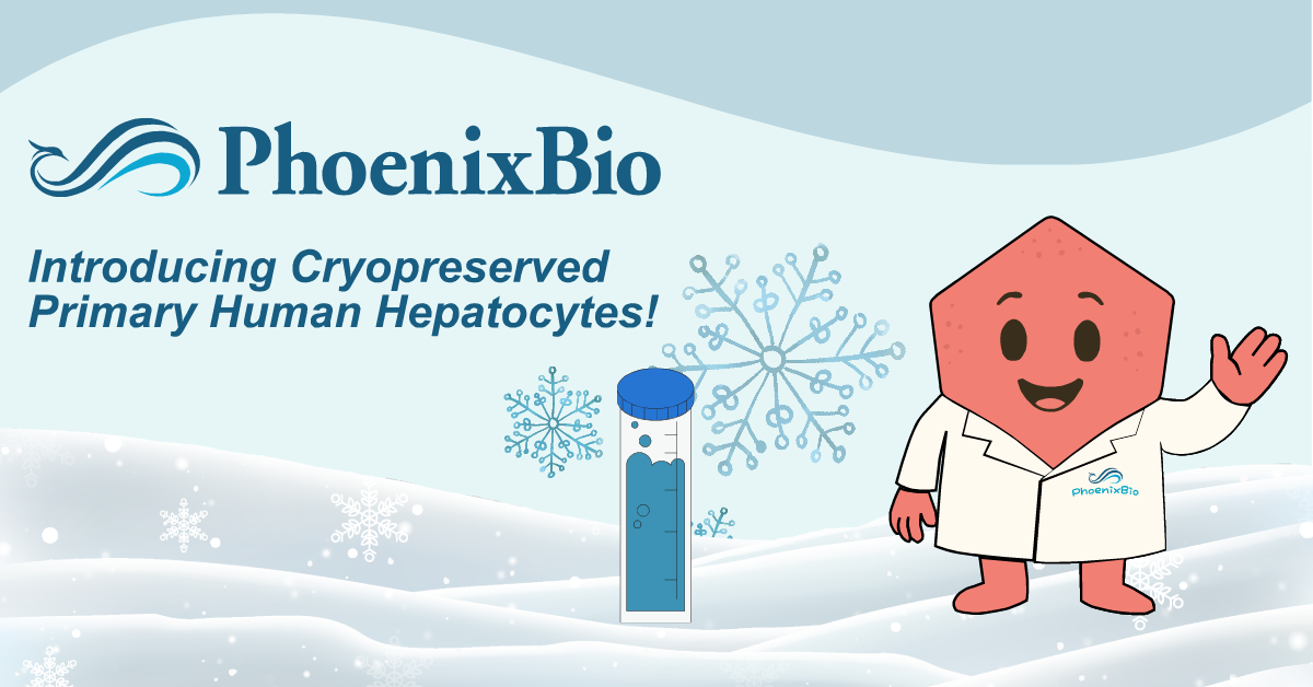 Cryopreserved PXB-cells: enhance in vitro drug development with